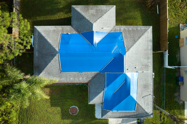 Best Roof Leak Repair  in Holton, KS